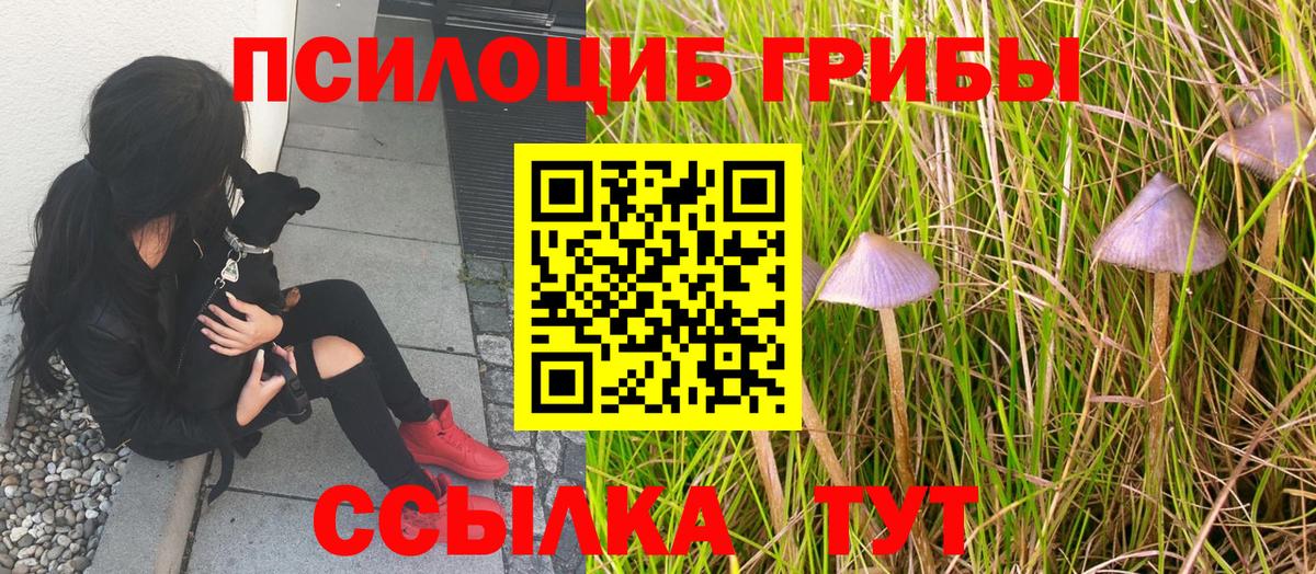 Псилоцибиновые грибы мухоморы Мелеуз